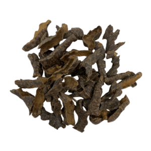 ميني فيزا موري