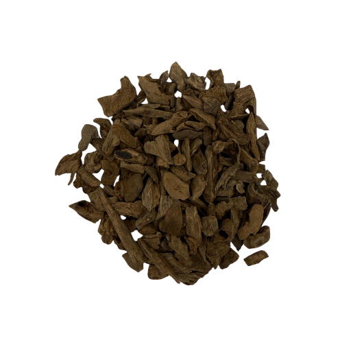 فلبيني ليتي امينة