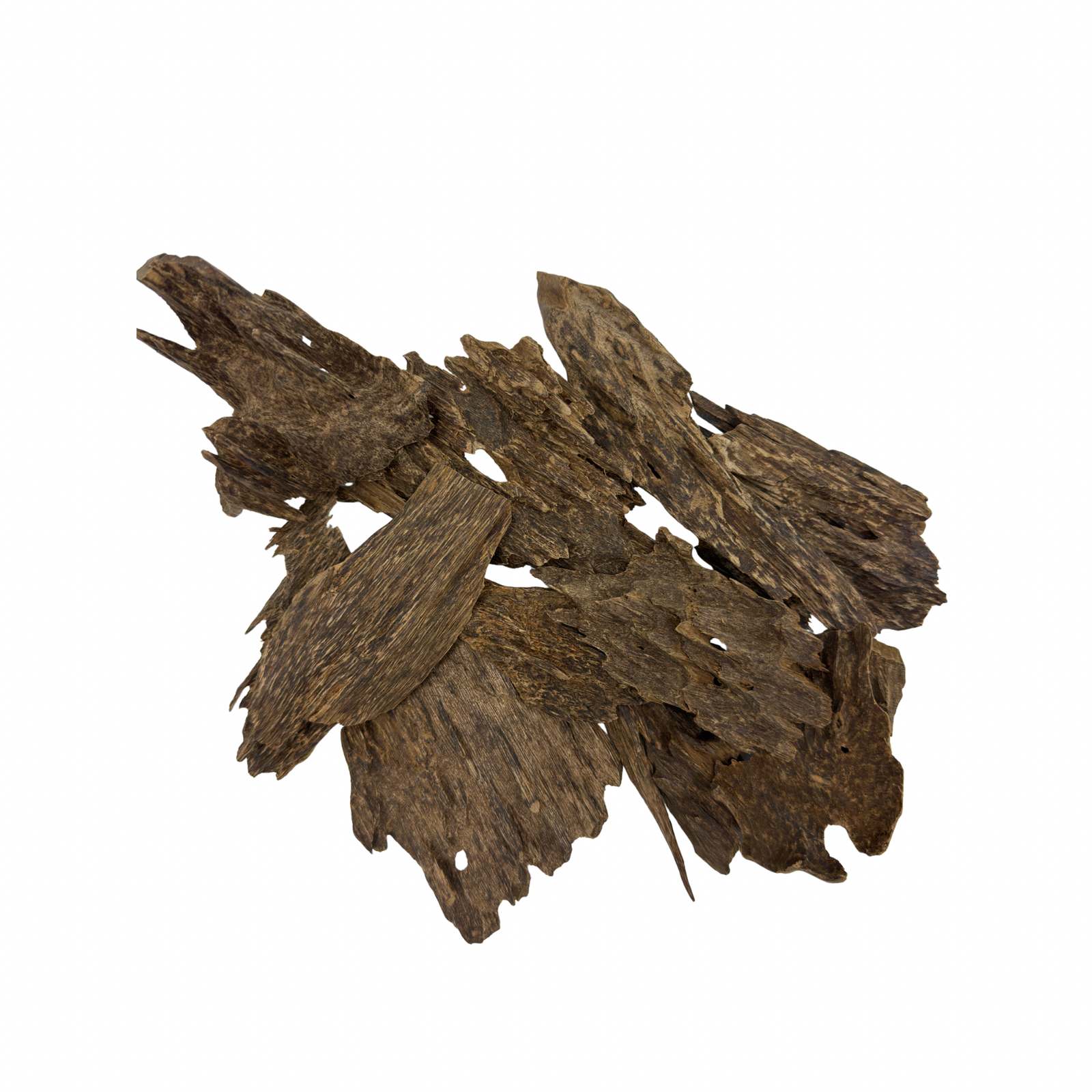 كلمنتان بونتيانك