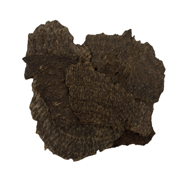 الهندي التشار الصفائح