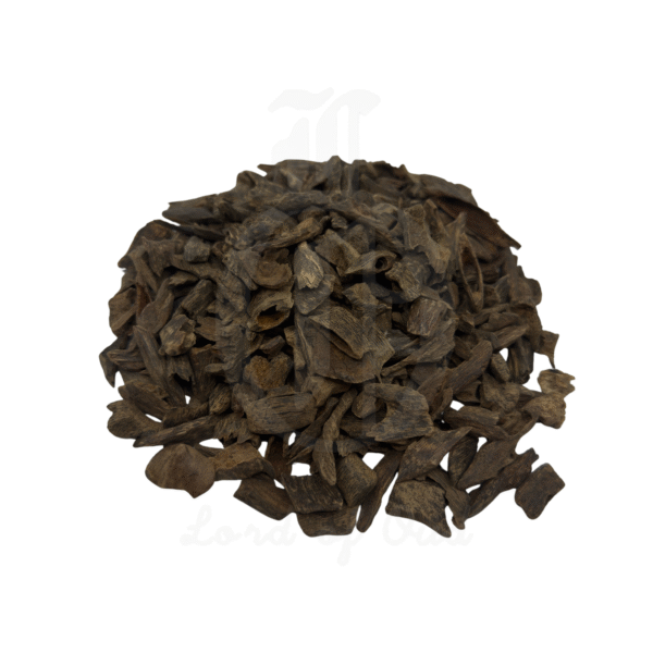 فلبيني الرصاص Underwater